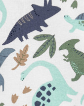 3-Piece Dinosaur Little Short Set
