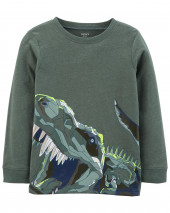 Dinosaur Jersey Tee